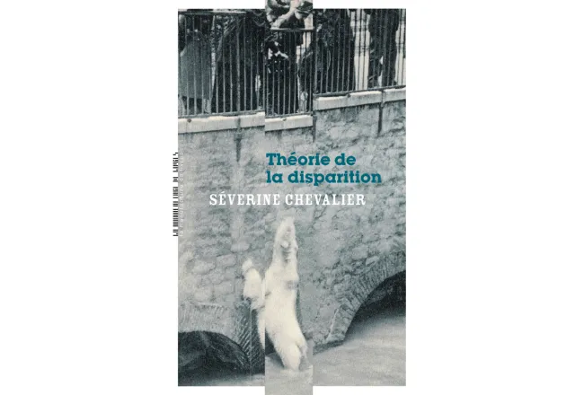 Couverture Théorie de la disparition
